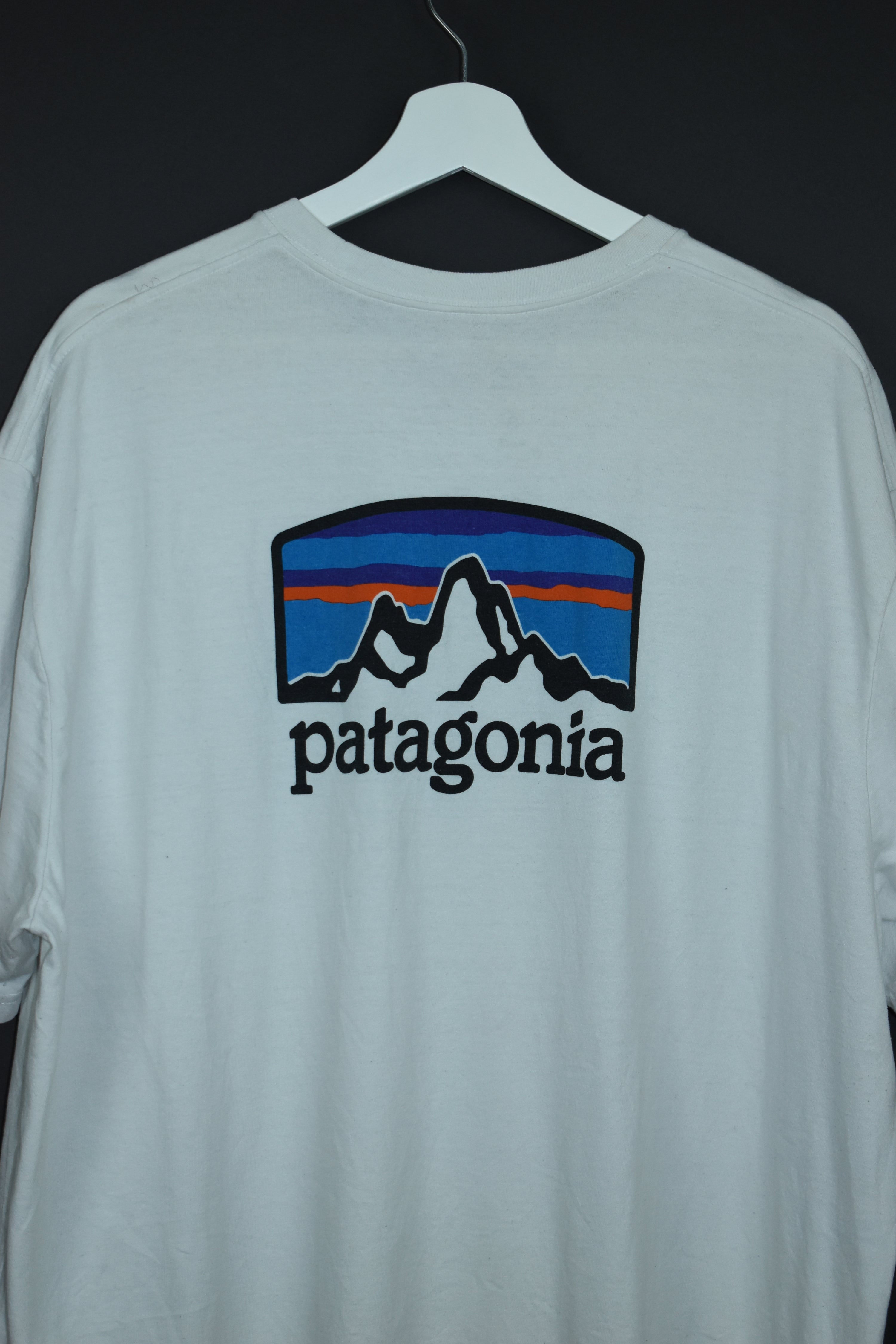 Patagonia t hotsell shirt xxl